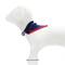 Best Furry Friends Patriotic Bandana Slides S-M